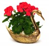 BR2831 - Brass Swan Pair, Planters